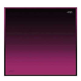 LA BOUTIQUE %100 Twill Eşarp 1285